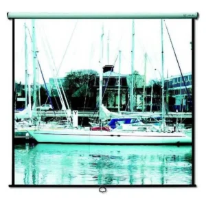 LAV Liza II projector screen surface showing projected image detail